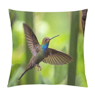 Personality  White-tailed Hillstar Hovering In The Air, Garden, Tropical Forest, Colombia, Bird On Colorful Clear Background,beautiful Hummingbird With Blue Throat And Outstretched Wings,nature Wildlife Scene Pillow Covers