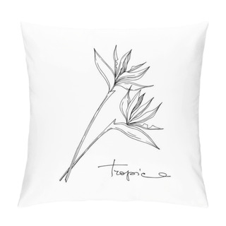 Personality  Vector Tropical Floral Botanical Flowers. Black And White Engraved Ink Art. Isolated Flower Illustration Element. Pillow Covers