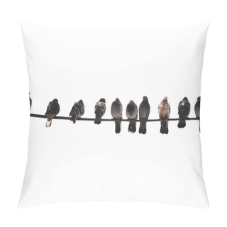 Personality  Pigeons On The Wire Pillow Covers