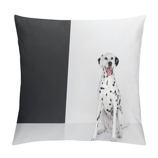 Personality  One Cute Dalmatian Dog Sitting Near Black And White Wall Pillow Covers