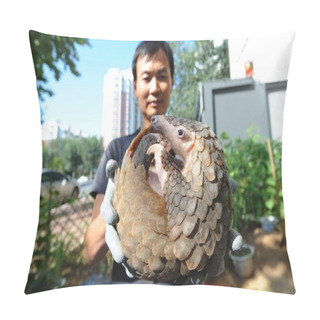 Personality  A Pangolin To Be Released Back Into The Wild In Southern China Is Pictured After Being Rescued In Qingdao City, East China's Shandong Province, 14 September 2017 Pillow Covers