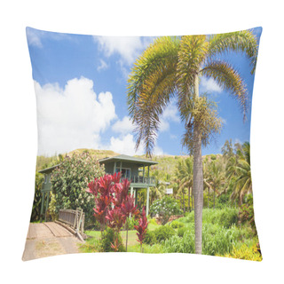 Personality  Tipical House In Kawaii Hawaii Island Pillow Covers
