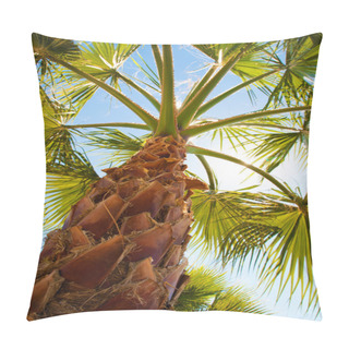 Personality  Palm Tree View From Bottom, Sun's Rays Shine Through Branches Pillow Covers