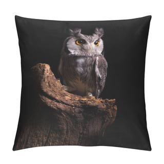 Personality  African White Faced Owl Sitting On A Tree Trunk Pillow Covers