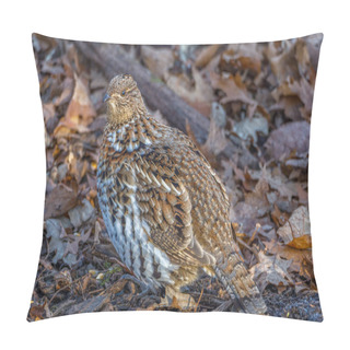 Personality  Close Up Of A Ruffed Grouse (Bonasa Umbellus) Perched On The Leaf Covered Ground During Autumn. Selective Focus, Background Blur And Foreground Blur. Pillow Covers