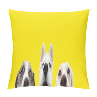 Personality  Banner Three Hide Funny Surprised Dogs Puppies Isolated On Yellow Background. Pillow Covers