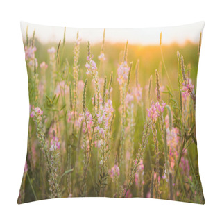 Personality  Beautiful Meadow With Wild Pink Flowers Over Sunset Sky. Field Background With Sun Flare. Selective Focus. Pillow Covers