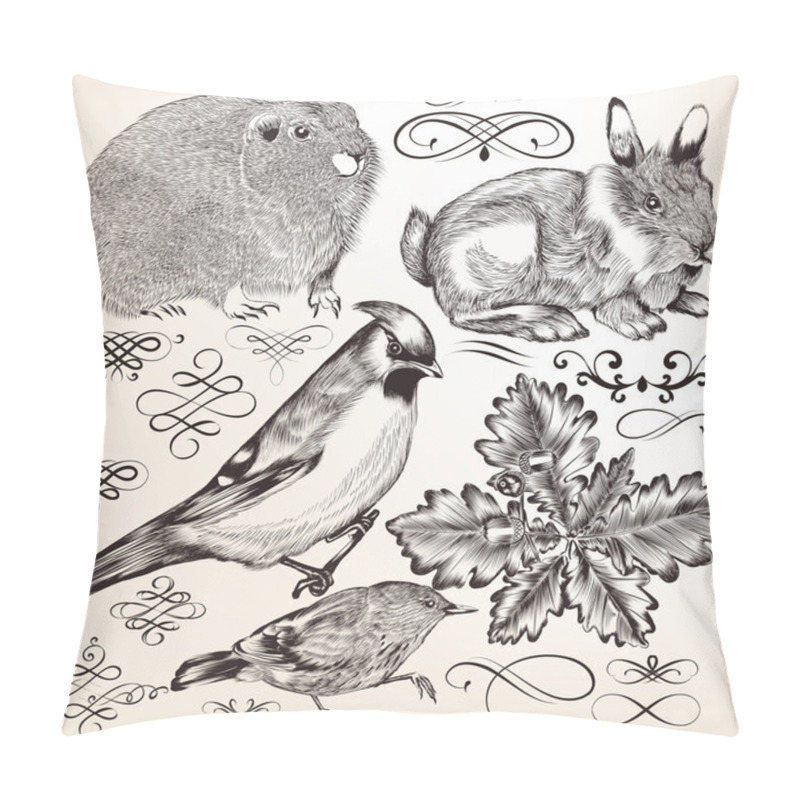 Personality  Collection of vector detailed elements and animals pillow covers