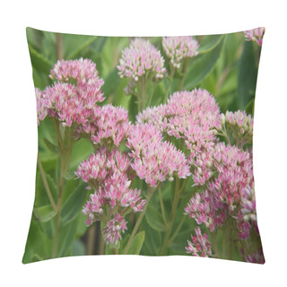 Personality  Pink Colored Shubbery Flower Blooming In A Garden Pillow Covers