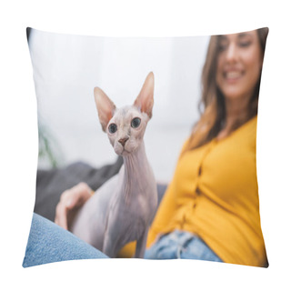 Personality  Sphynx Cat Sitting On Blurred Woman At Home  Pillow Covers