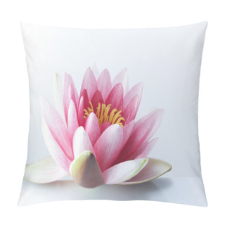 Personality  Water Lily, Lotus On Pastel Background Pillow Covers