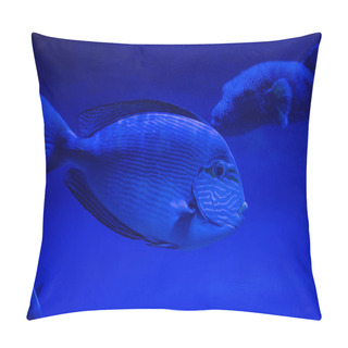 Personality  Fishes Swimming Under Water In Aquarium With Blue Neon Lighting Pillow Covers