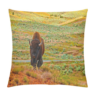 Personality  Wild Buffalo Pillow Covers
