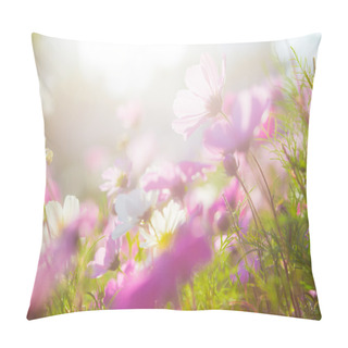 Personality  Beautiful Cosmos Flowers Pillow Covers