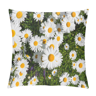 Personality  Marguerite Flower Pillow Covers