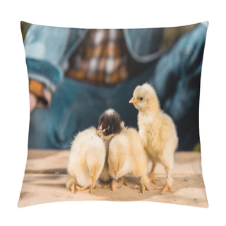 Personality  Cropped Image Of Male Farmer Holding Wooden Board With Adorable Baby Chicks Outdoors  Pillow Covers