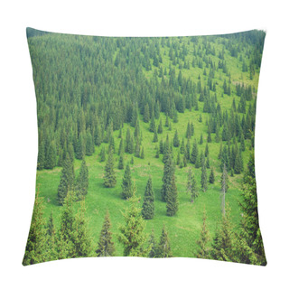 Personality  Beautiful Pine Trees Pillow Covers