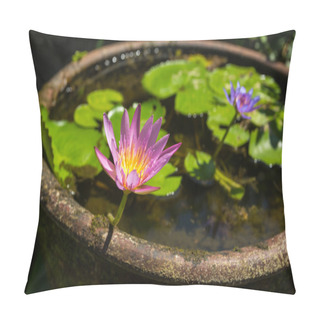 Personality  Beautiful Water Lily In Water Pot Pillow Covers