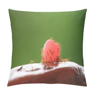 Personality  Ant Parade With Sweet Heart Candy. Pillow Covers