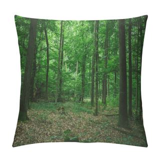 Personality  Beautiful Green Forest In Germany In Summer Pillow Covers