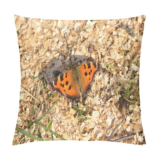 Personality  Nymphalis Polychloros. Butterfly Polyflora Garden Sitting On The Ground With Wings Open. Pillow Covers