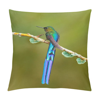 Personality  Glossy Hummingbird In Nature Pillow Covers