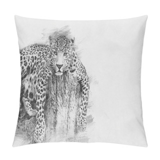 Personality  Leopard. Sketch With Pencil Pillow Covers