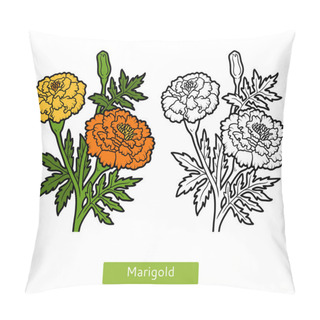 Personality  Coloring Book, Flower Marigold Pillow Covers
