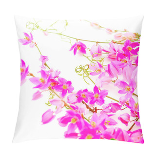 Personality  Coral Vine Pillow Covers