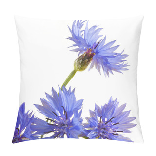 Personality  Cornflower Pillow Covers