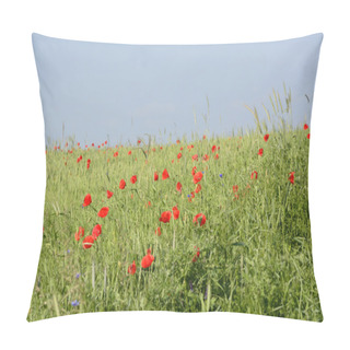 Personality  Rural Landscape - Red Poppies Pillow Covers