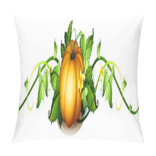 Personality  A Border Made Of Vine Plants And A Squash Pillow Covers