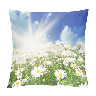 Personality  Green Field With Chamomile Flowers Pillow Covers