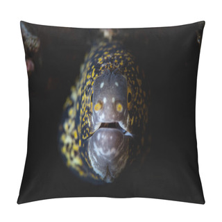 Personality  Snowflake Moray Eel Pillow Covers