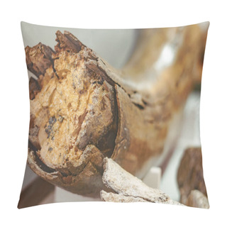 Personality  Ancient Mammoth Bones Pillow Covers