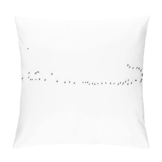 Personality  Flock Of Birds On A White Background Pillow Covers