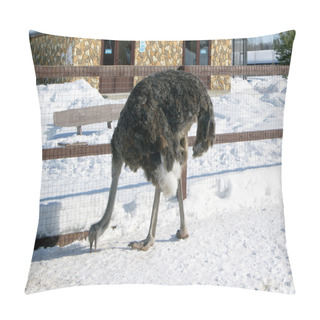 Personality The Bird Park. The City Of Kaluga. Russia. Pillow Covers