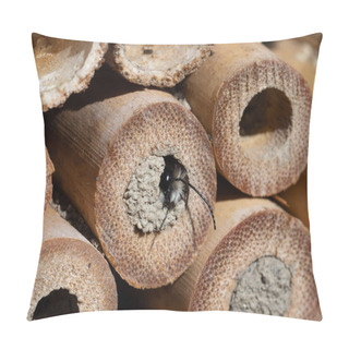 Personality  Mason Bees At An Insect Hotel In Spring Pillow Covers