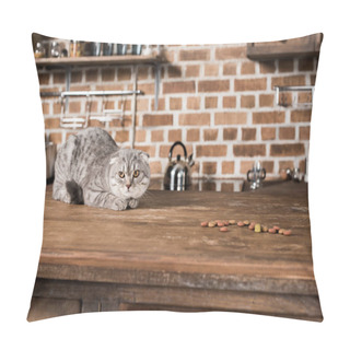 Personality  Scottish Fold Cat  Pillow Covers