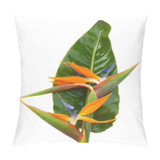 Personality  Bouquet O Strelitzia Flowers Pillow Covers