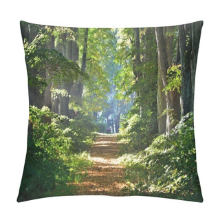 Personality  Rural Gravel Road (alley) Through Mighty Green Linden Trees. Soft Sunlight, Sunbeams. Fairy Forest Landscape. Picturesque Scenery. Pure Nature. Art, Hope, Heaven, Loneliness, Wilderness Concepts Pillow Covers