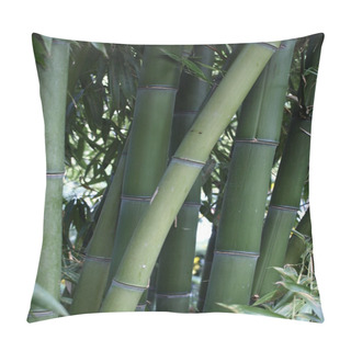 Personality  Bamboo Pillow Covers