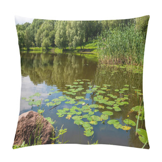 Personality  A Lake With Jugs And A Reflection Of The Sky In The Water. Spring Tree Foliage And Green Grass. Pillow Covers