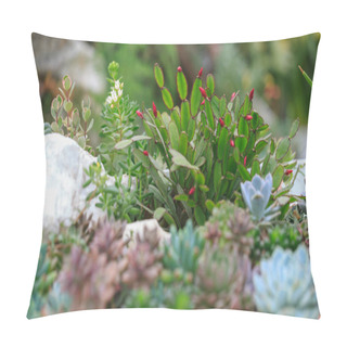 Personality  All Kinds Of Potted Succulents Pillow Covers