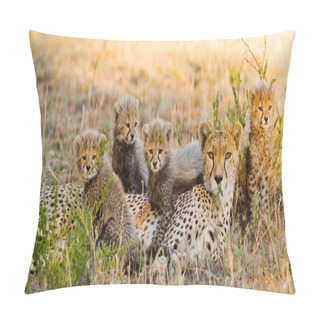 Personality  Mother Cheetah With Her Cubs Pillow Covers