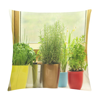 Personality  Herbs Growing On Window Pillow Covers