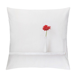 Personality  Decorative Shelf Pillow Covers
