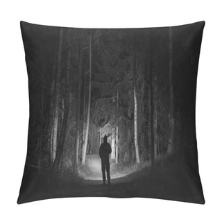 Personality  Man Standing Outdoors At Night In Tree Alley Shining With Flashlight. Beautiful Dark Snowy Winter Night. Pillow Covers