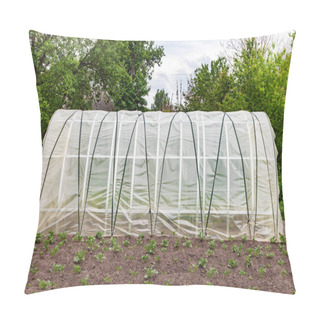 Personality  Greenhouse For Growing Vegetables In Garden Pillow Covers