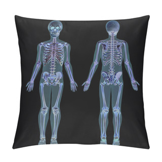 Personality  Human Skeleton, Back And Front View, Realistic Drawing Of Bones, Anatomy, Figure Silhouette, Isolated Image On White Background Pillow Covers